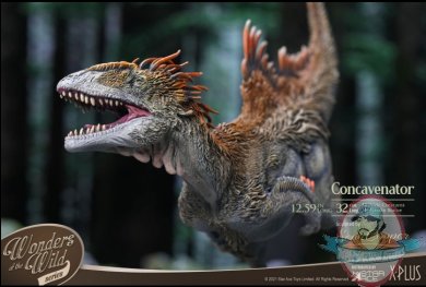 2021_10_06_08_57_54_concavenator_statue_by_star_ace_toys_sideshow_collectibles.jpg
