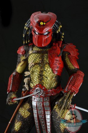 51493-predator-bigred-2.jpg