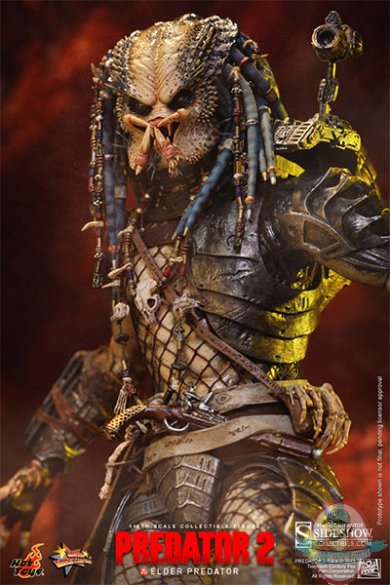 902167-elder-predator-006.jpg