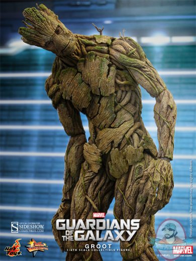 902220-groot-004.jpg