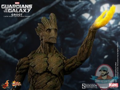 902220-groot-005.jpg