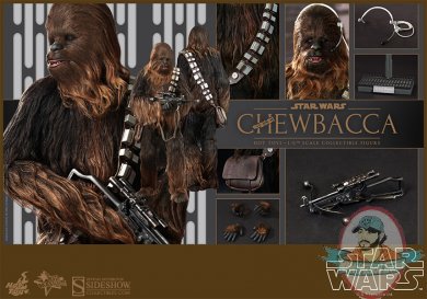 902267-chewbacca-014.jpg