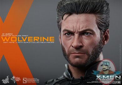 902281-wolverine-014.jpg