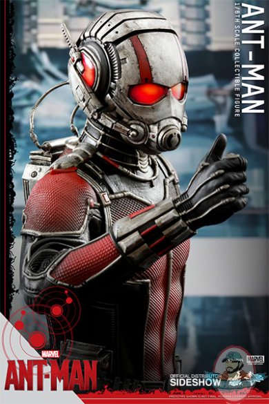 902448-ant-man-14.jpg