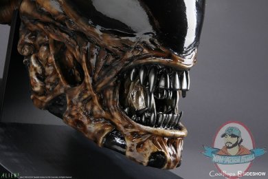 alien-3-dog-alien-life-size-head-coolprops-902731-11.jpg