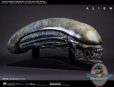 alien-covenant-xenomorph-life-size-head-prop-replica-cool-props-903191-04.jpg