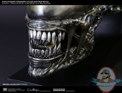 alien-covenant-xenomorph-life-size-head-prop-replica-cool-props-903191-09.jpg