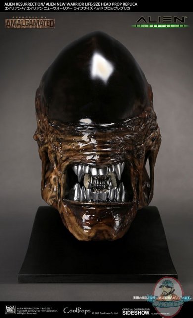 alien-resurrection-alien-new-warrior-life-size-head-prop-replica-cool-props-903158-03.jpg