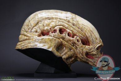 alien-resurrection-alien-newborn-life-size-head-coolprops-902730-04.jpg