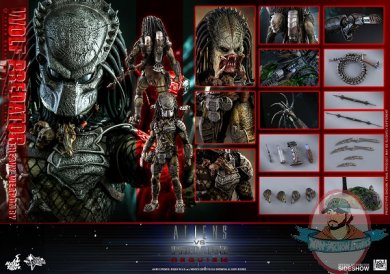 alien-vs-predator-wolf-predator-heavy-weaponry-sixth-scale-hot-toys-903149-23.jpg