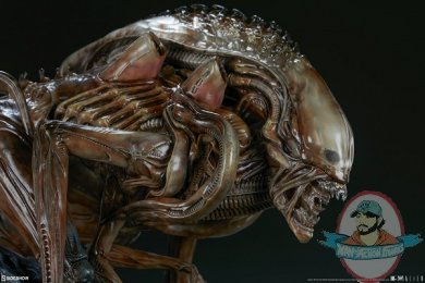 alien-warrior-mythos-maquette-sideshow-400317-13.jpg