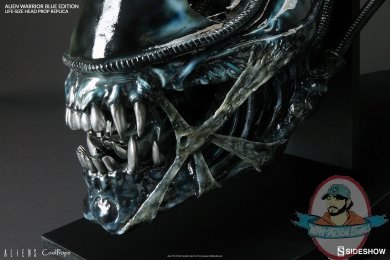 aliens-alien-warrior-blue-edition-life-size-_coolprops-902728-06.jpg