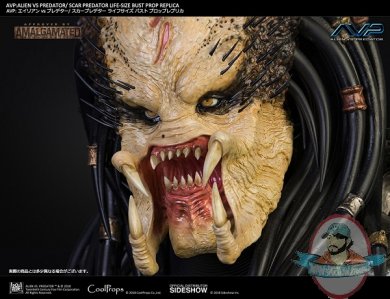 aliens-vs-predator-scar-predator-life-size-bust-coolprops-903453-11.jpg