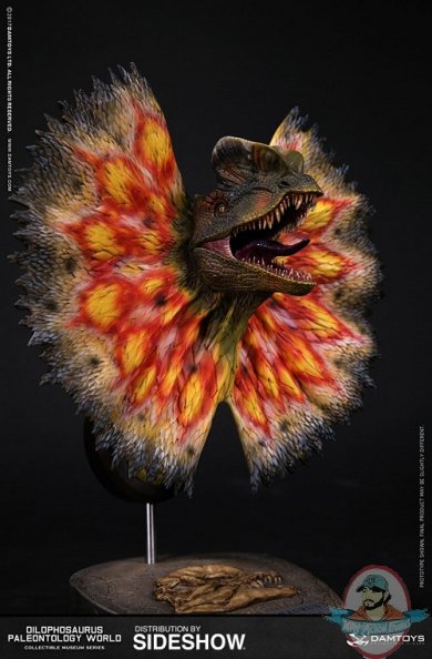 dilophosaurus-bust-damtoys-9030180-04.jpg