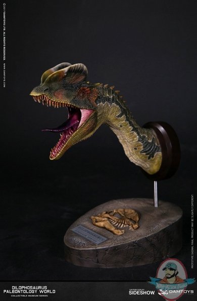 dilophosaurus-bust-damtoys-903181-01.jpg