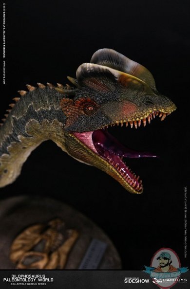 dilophosaurus-bust-damtoys-903181-05.jpg