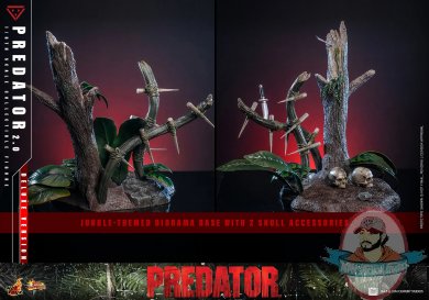 dlxator7.jpg