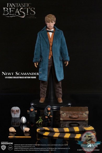 fantastic-beasts-and-where-to-find-them-newt-scamander-sixth-scale-903160-15.jpg