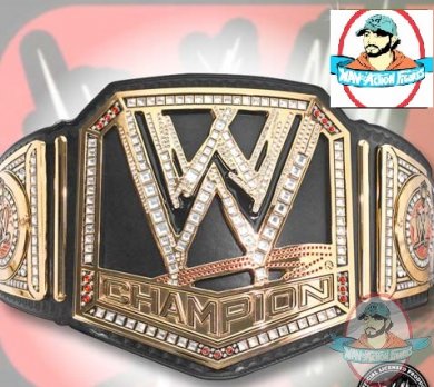 ftc_wwechamp2013_front.jpg