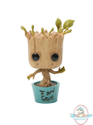 groot1.jpg