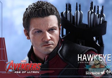 hawkeye1.jpg