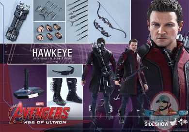 hawkeye4.jpg