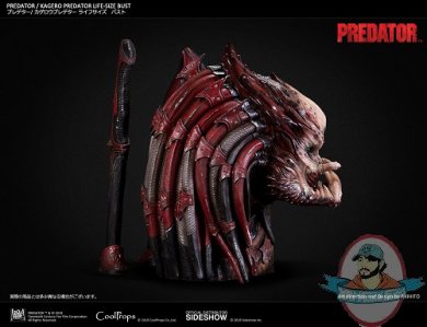 kagero-predator-life-size-bust-coolprops-904233-08.jpg