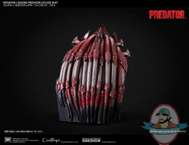 kagero-predator-life-size-bust-coolprops-904233-11.jpg