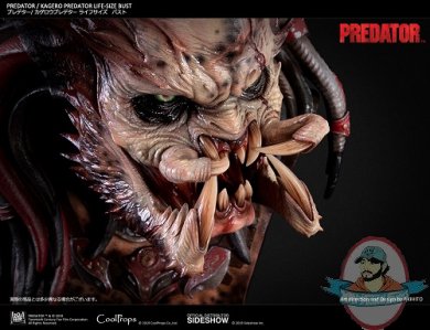 kagero-predator-life-size-bust-coolprops-904233-19.jpg