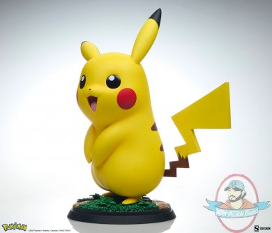 pikapi1.jpg