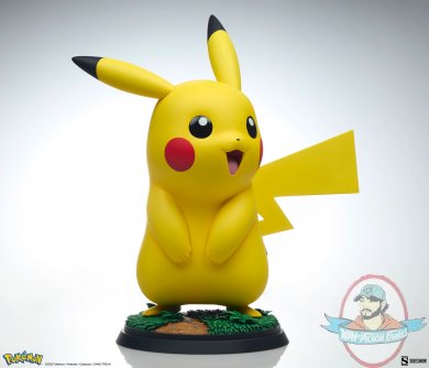 pikapi3.jpg