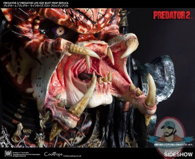 predator-2-lifesize-bust-pro-replica-coolprops-902665-10.jpg