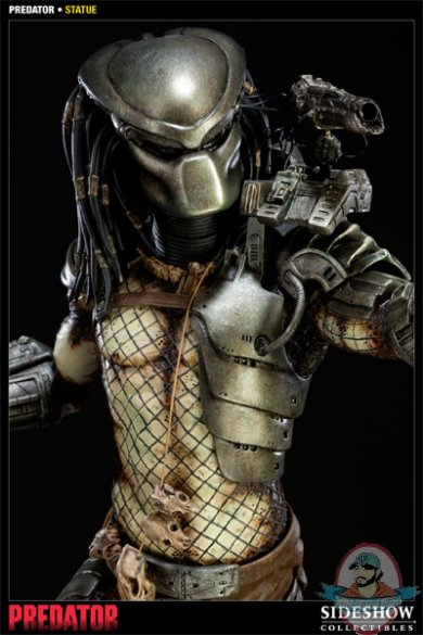 predator1.jpg