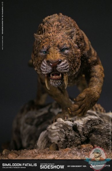 similodon-fatalis-dry-gobi-desert-version-statue-damtoys-903256-03.jpg