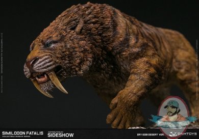 similodon-fatalis-dry-gobi-desert-version-statue-damtoys-903256-05.jpg