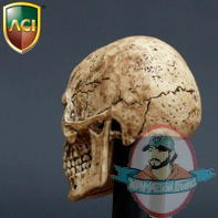 skull_aci_2.png