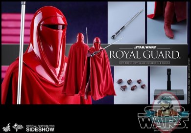 star-wars-royal-guard-sixth-scale-figure-hot-toys-902996-19.jpg