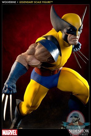 wolverine1_1.jpg