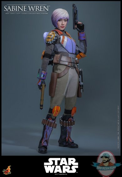 wreninrome3.jpg