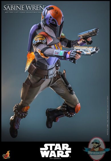 wreninrome4.jpg