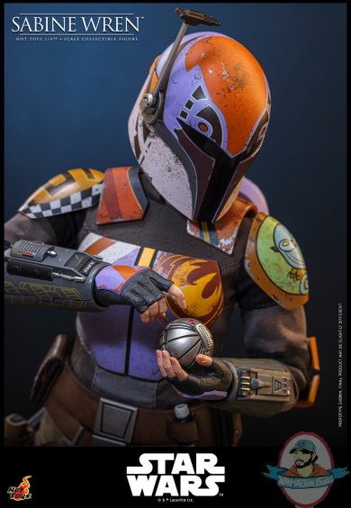 wreninrome5.jpg